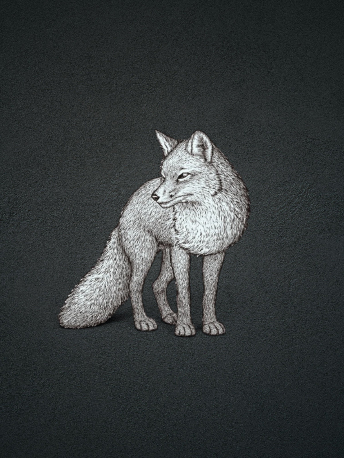 Artwork Hand-etched fox in light greys, white, and black. 
