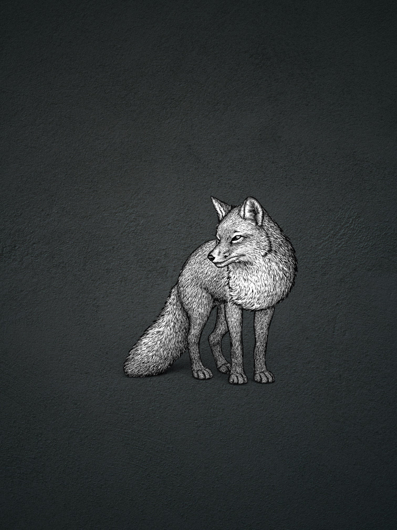 Fox and Form original hand-drawn etched illustration of a fox in black, grey, and white etched colors — the signature artwork for The Fox collection