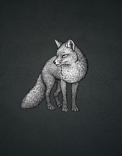 The Fox — Mini &amp; Youth