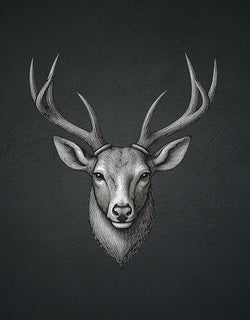 The Stag — Mini &amp; Youth